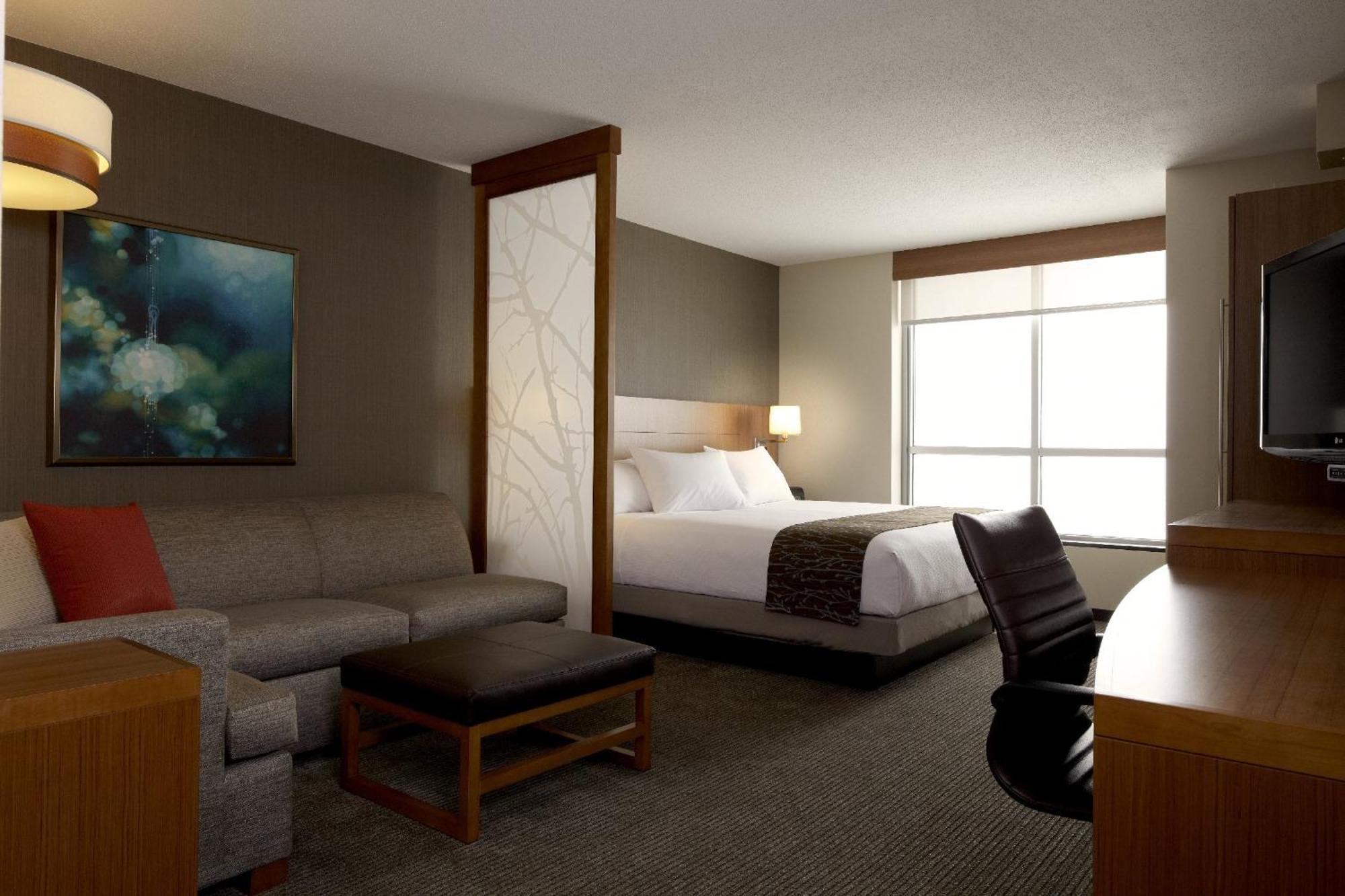 King Room Sofa Bed